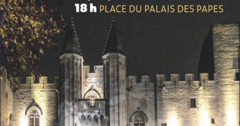 Le Grand Mix show@©Ville d'Avignon