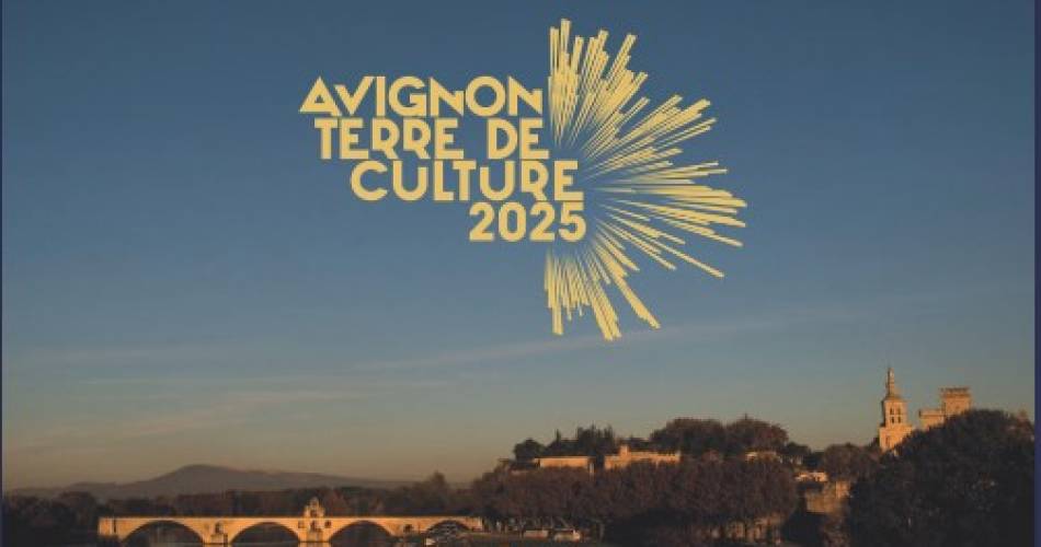 Pyrotechnic light & sound show@©Ville d'Avignon