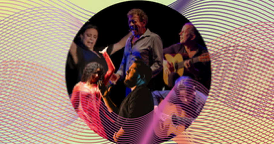 Noche de Arte Flamenco@Site web