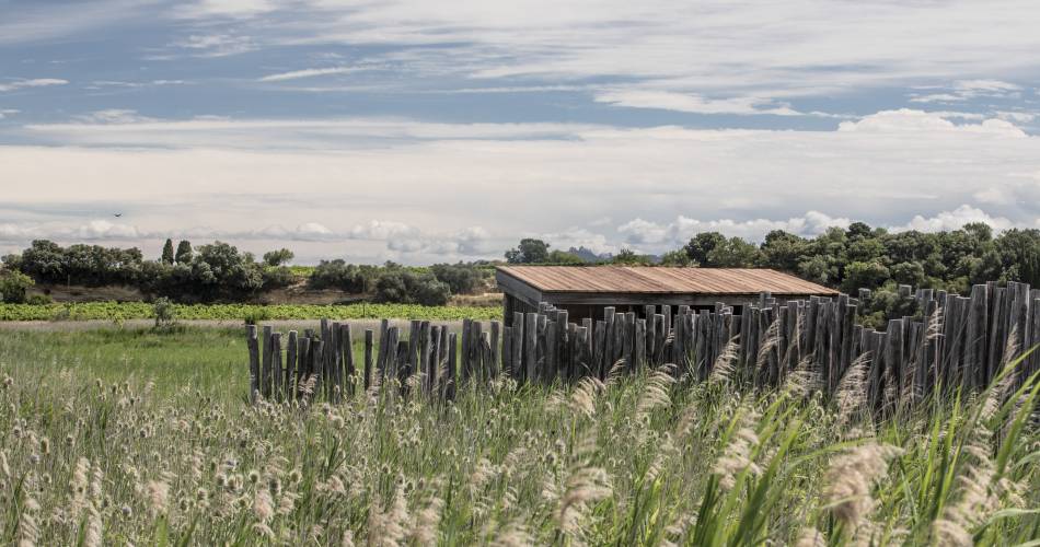 R09 - Etang salé de Courthézon@gkessler