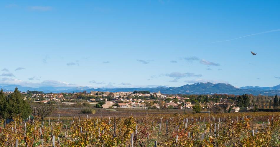 R09 - Etang salé de Courthézon@poptourisme