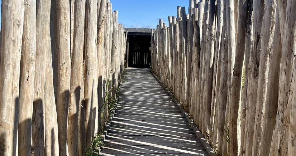 R09 - Etang salé de Courthézon@poptourisme