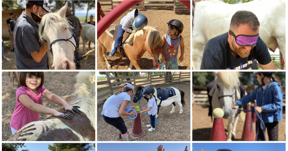 Course d'orientation à poney@Lucky Horse