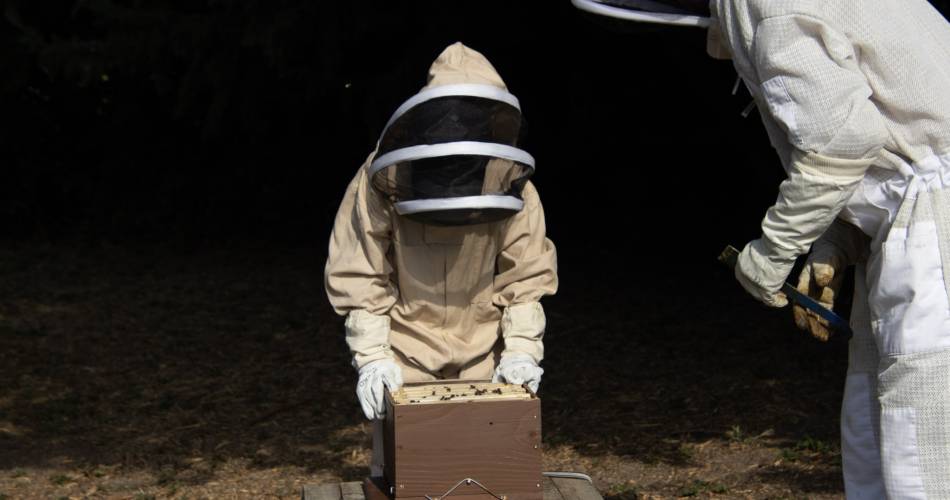 Atelier découverte de l'apiculture - Happy Culture@© Happy Culture Orange