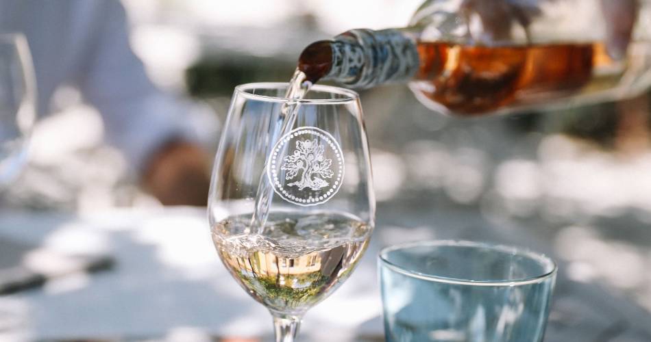 Tussen wijngaarden en herfstsmaken, een geëngageerde lunch met 4 handen - Chêne Bleu@Chêne Bleu