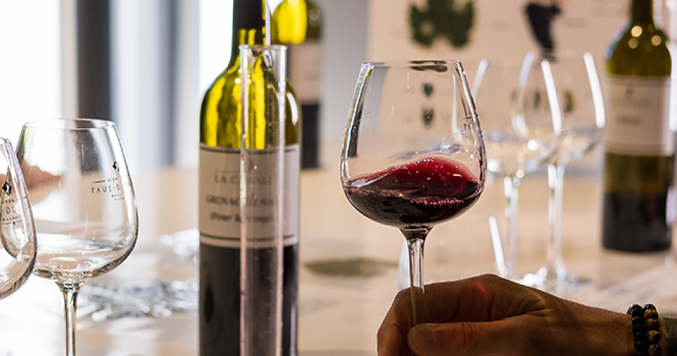 Atelier Ampélographie : de la vigne au vin à La Cavale  à Cucuron@Atelier Ampélographie : de la vigne au vin à La Cavale - Cucuron_Cucuron