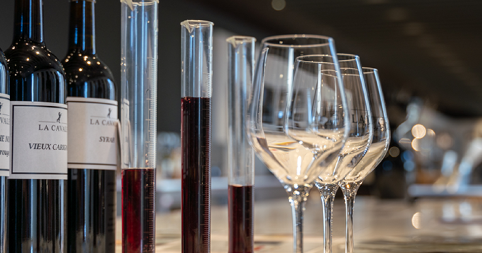 Atelier Ampélographie : de la vigne au vin à La Cavale  à Cucuron@Atelier Ampélographie : de la vigne au vin à La Cavale - Cucuron_Cucuron