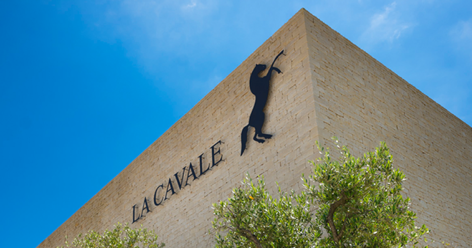 Atelier Ampélographie : de la vigne au vin à La Cavale  à Cucuron@Atelier Ampélographie : de la vigne au vin à La Cavale - Cucuron_Cucuron