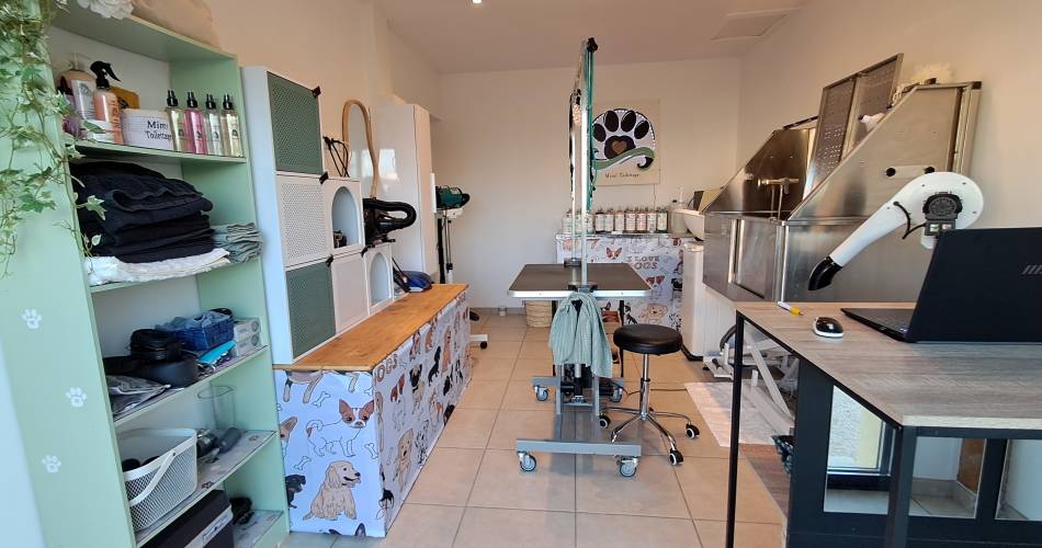 Mimi Toilettage@mimi toilettage