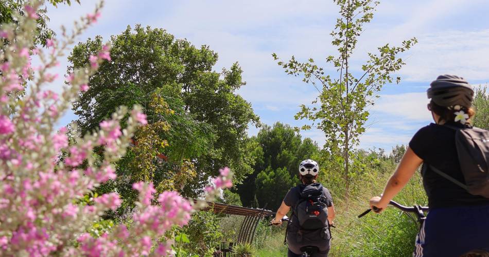 Escapade au Pays des Sorgues en famille@@Luc_Quéret_OTPortesduVentoux