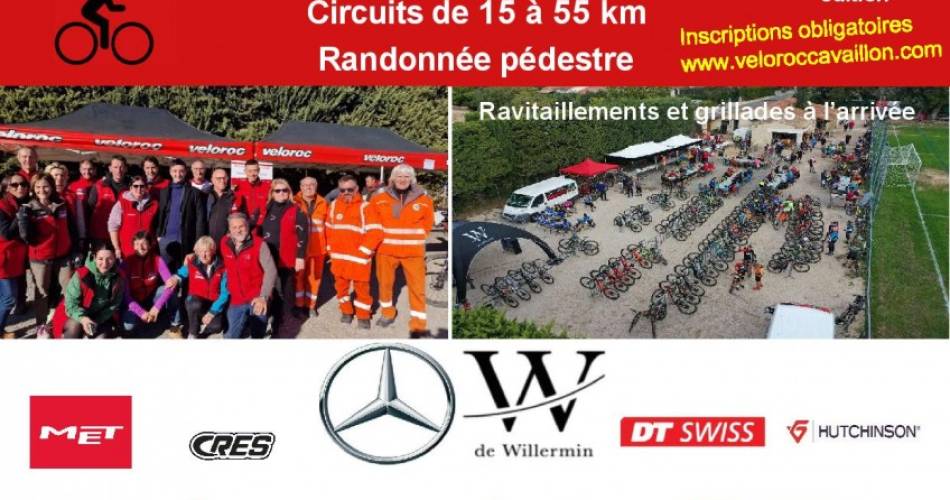 Wijnoogstwandeling@Veloroc