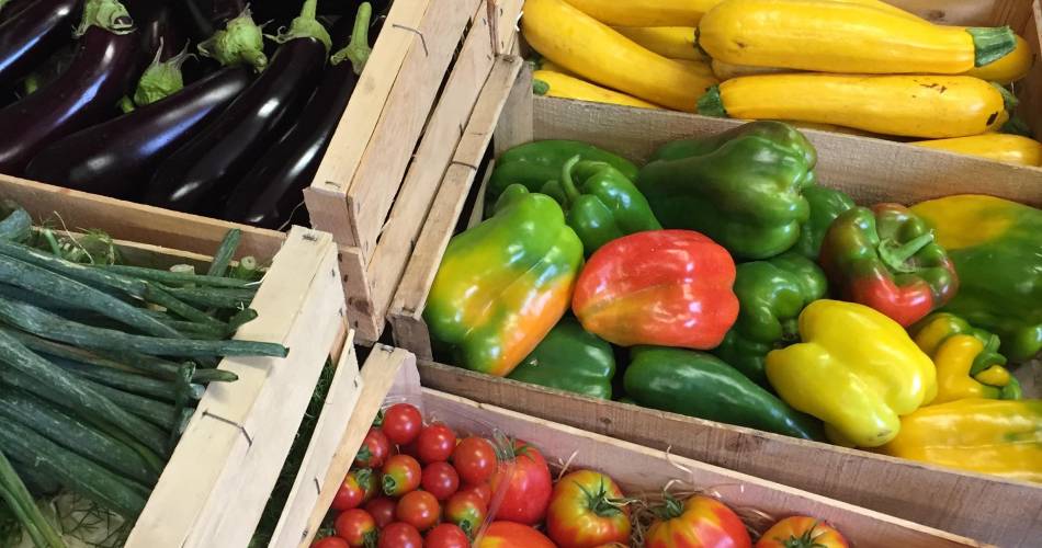 Saveurs et papilles@Légumes 2026