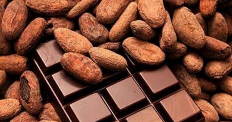 Chocolaterie Chaloin (Groupes & Séminaires)@Chocolaterie Chaloin