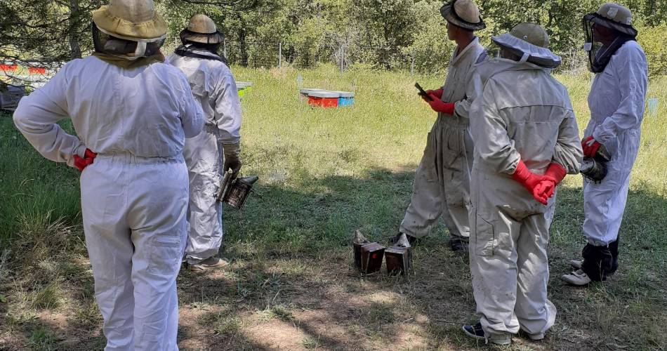 Visite à la ferme des Ruchers des Messeguières@E.Peroni