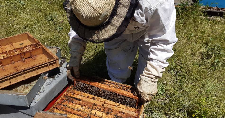 Visite à la ferme des Ruchers des Messeguières@E.Peroni