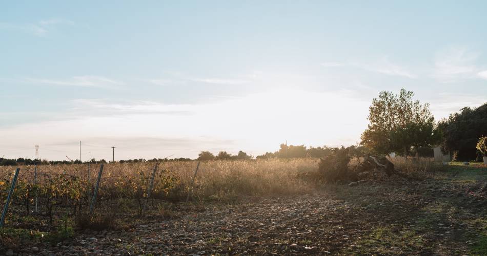 Gîte Syrah@Guillaume Belguedj 2023
