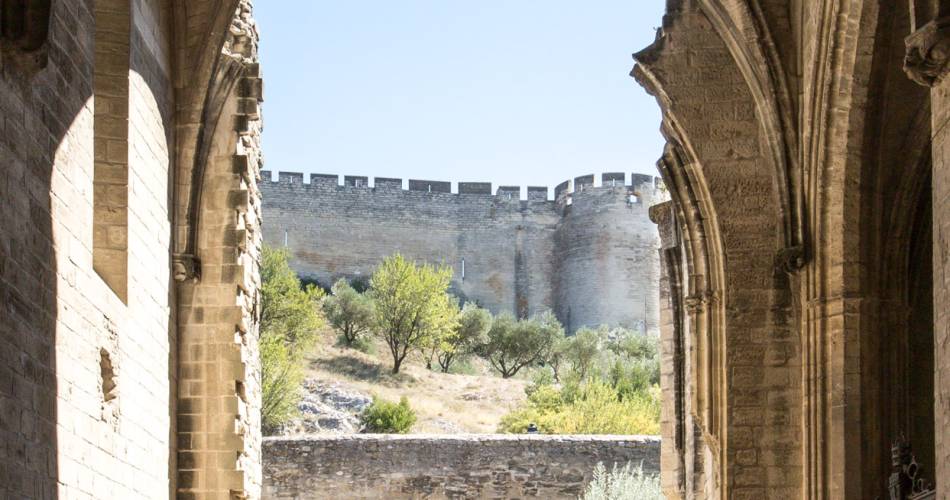 Visite commentée de la Chartreuse@©Alex Nollet La Chartreuse