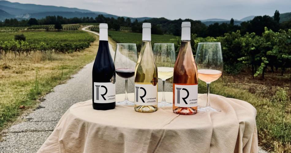 Cave la Romaine (Groepen & Seminars)@Cave La Romaine