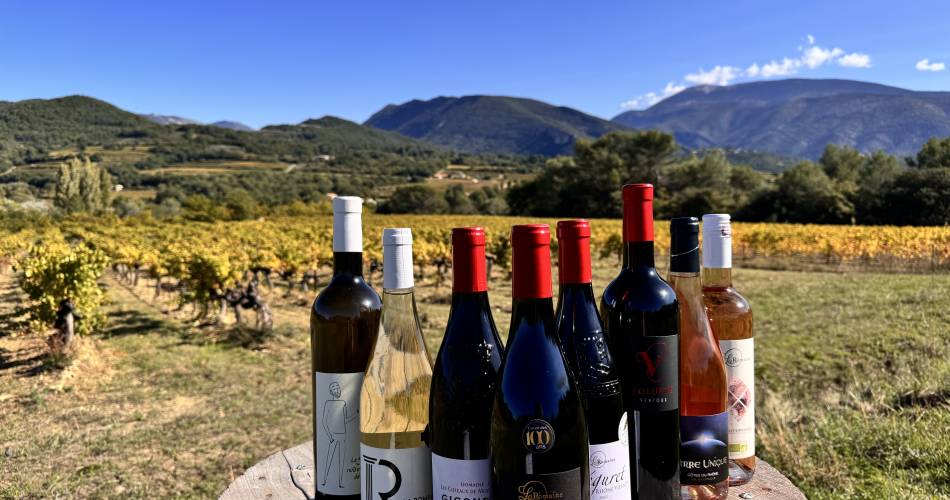 Cave la Romaine (Groepen & Seminars)@Cave la Romaine