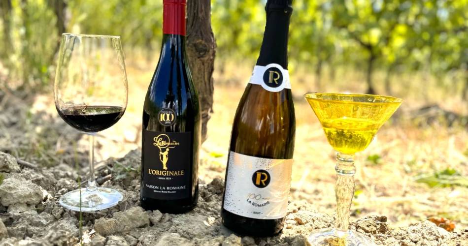 Cave la Romaine (Groepen & Seminars)@Cave la Romaine