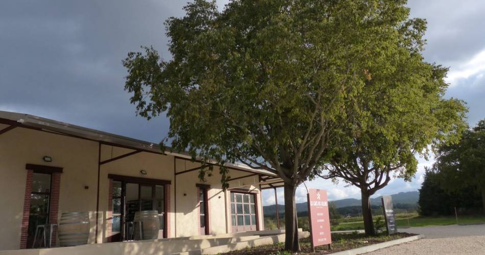 Les Caves des Collines Vignerons et Brasseurs (Groupes & Séminaires)@Les Caves des Collines