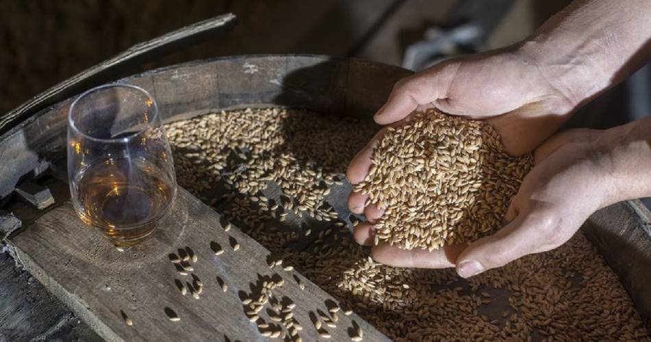 Atelier Tour du monde des Whiskys au château du Barroux@Château du Barroux