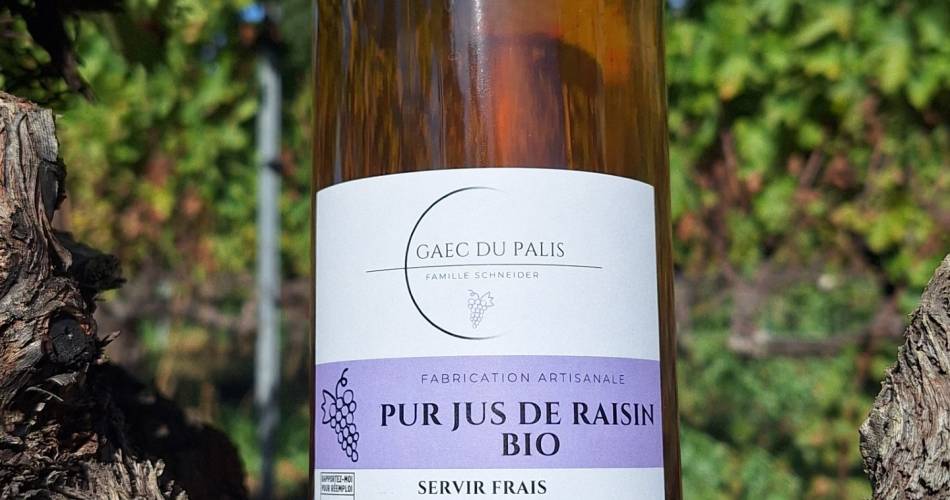 Gaec du Palis@schneider