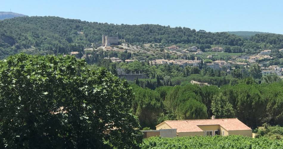 Les Gîtes de Baye - Le Mûrier (Groups & Seminars)@Florence de Gardebosc