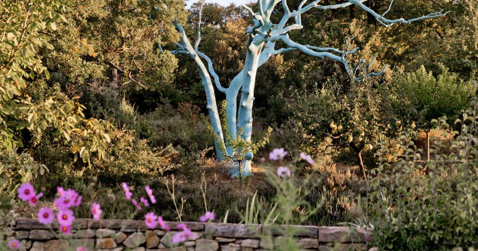 Chêne Bleu (Groepen & Seminars)@Chêne Bleu