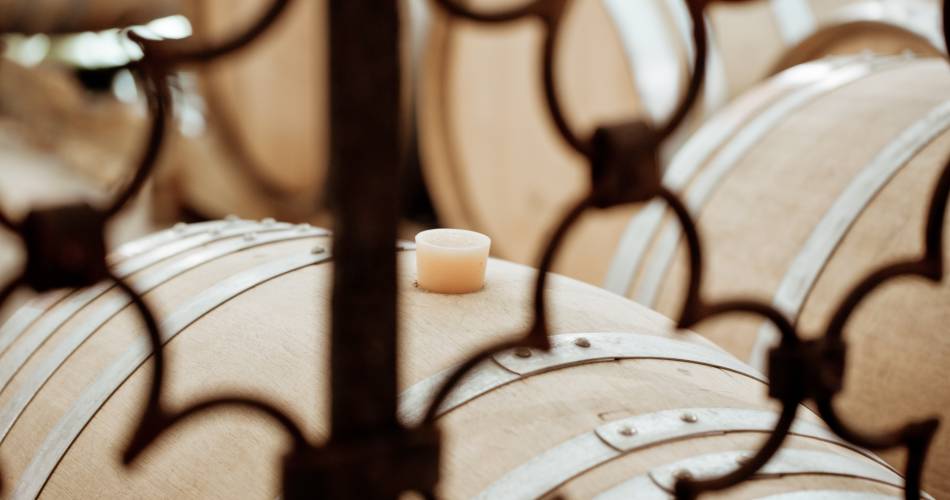 Chêne Bleu (Groepen & Seminars)@Chêne Bleu