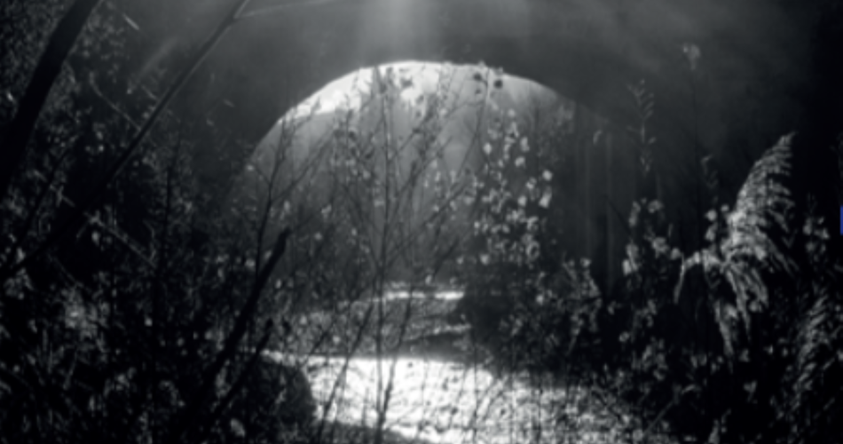 Tentoonstelling 'Vaucluse, een land van water@Mairie Vaison