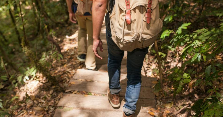 Rando douce à Velleron : Ravin de la Pouyaque@©Freepik