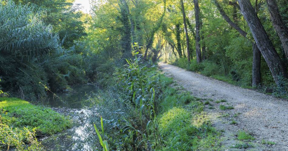 Véloroute Vers la Durance à vélo : Tronçon Pertuis - Villelaure@SMAVD