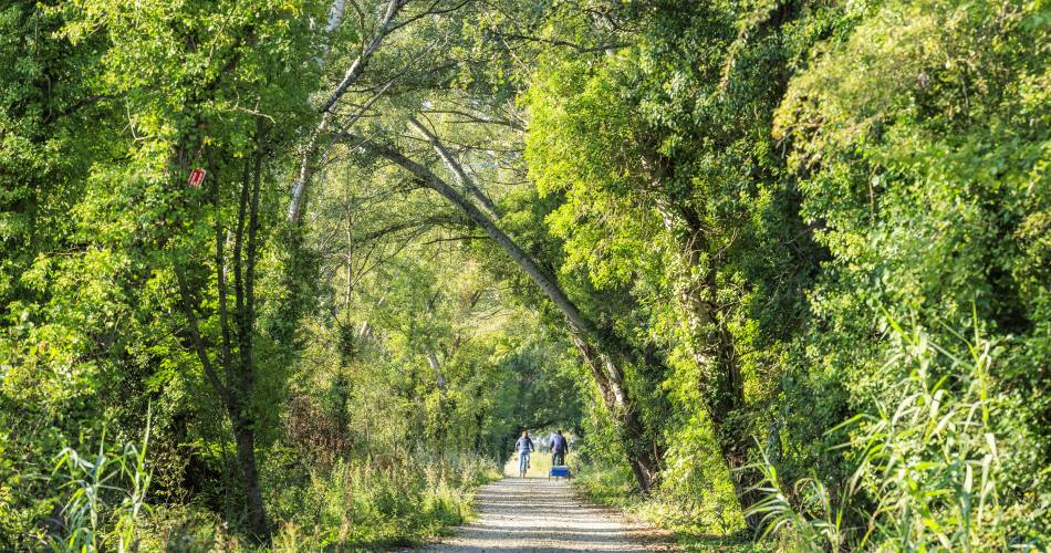 Véloroute Vers la Durance à vélo : Tronçon Pertuis - Villelaure@SMAVD