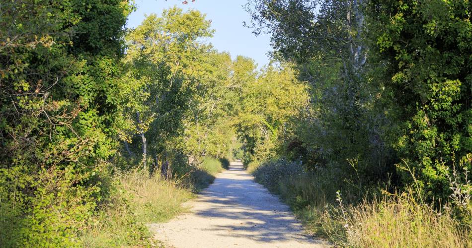 Véloroute Vers la Durance à vélo : Tronçon Pertuis - Villelaure@SMAVD