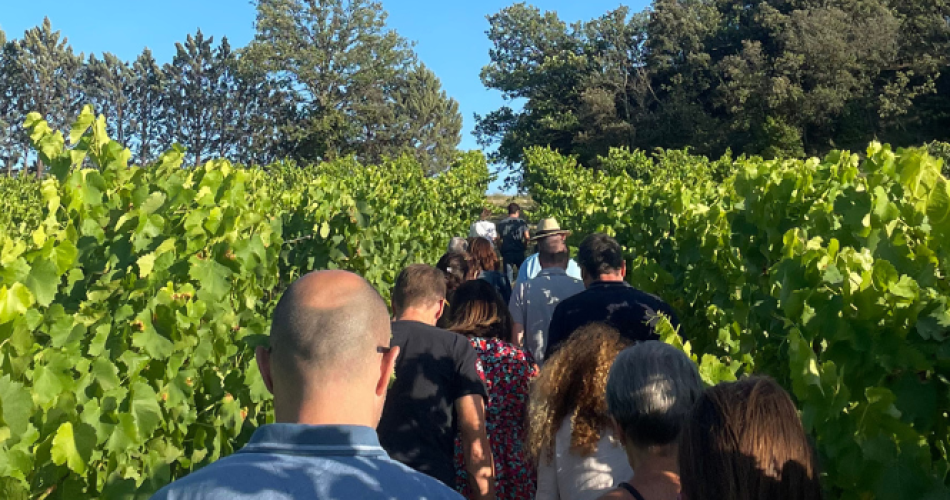 Pitchouns Game at Domaine Le Novi in La Tour d'Aigues@Au coeur du vignoble au Domaine 