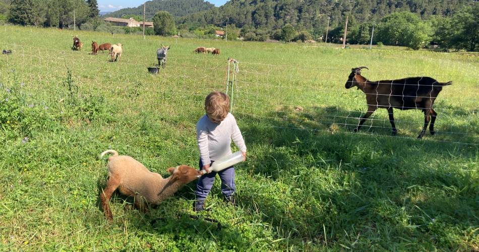 Ferme pédagogique - L'espigaou@© Camille Roman