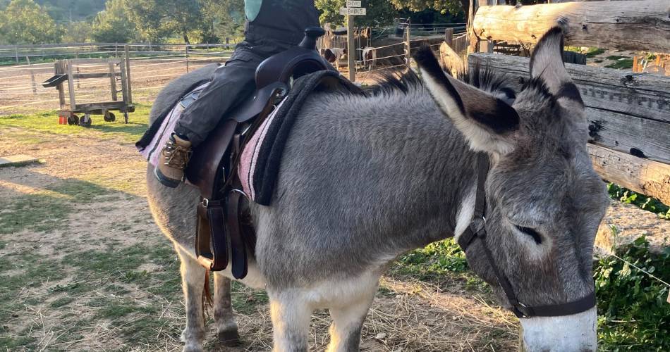 Ferme pédagogique - L'espigaou@© Camille Roman