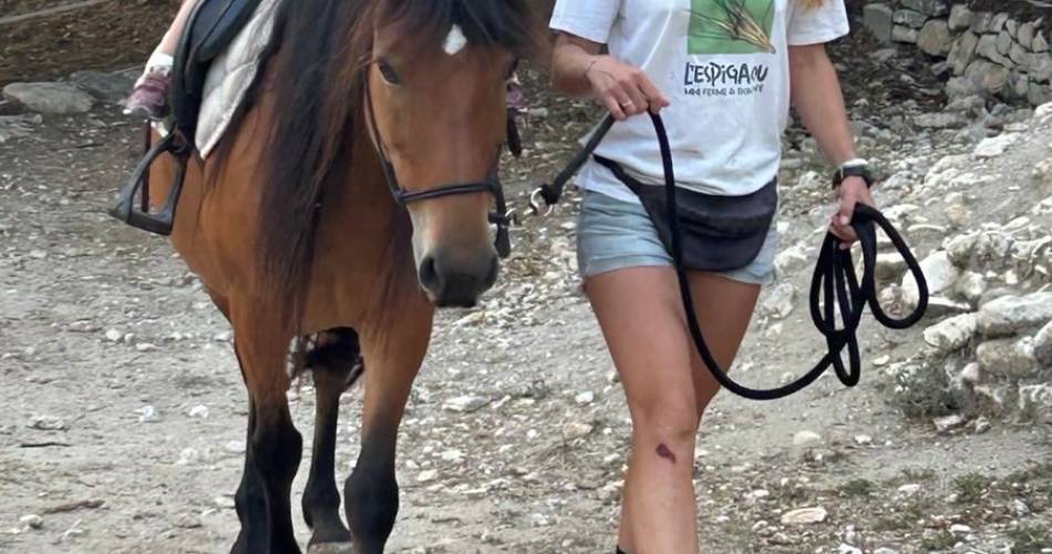 Ferme pédagogique - L'espigaou@© Camille Roman