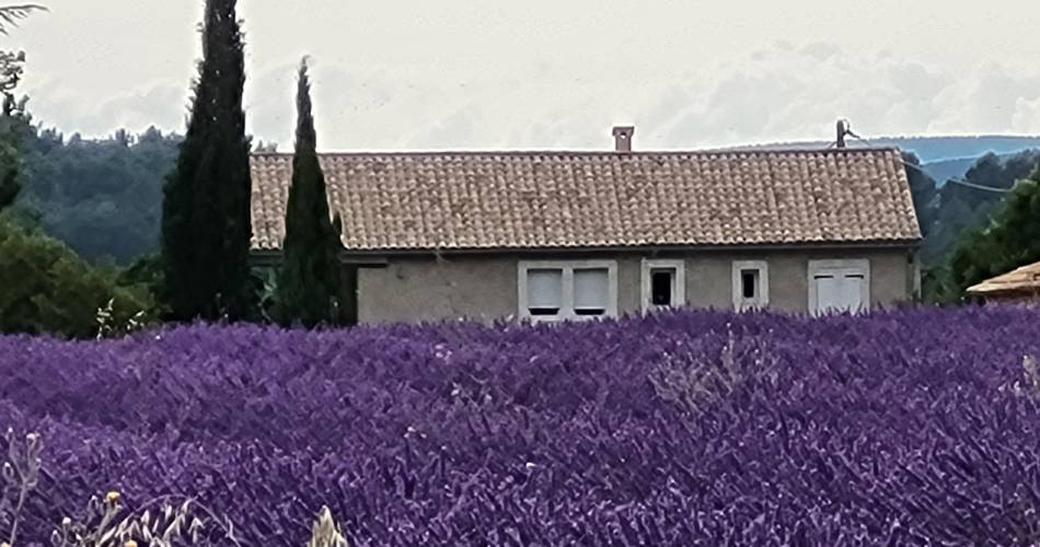 La grange des Joumillons@KDKD