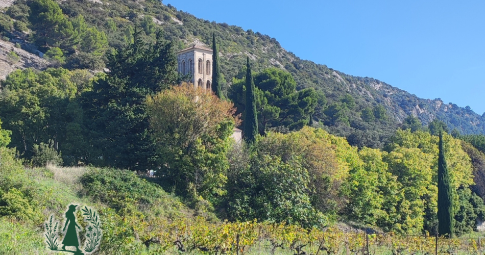 Les Promenades de Fleur@Fleur Tricart