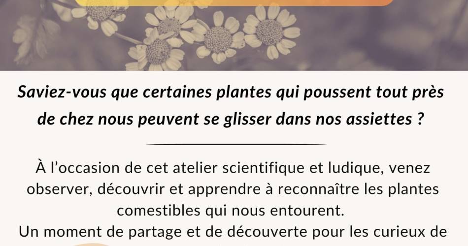 Atelier scientifique  au Centre culturel de Cadenet@Atelier scientifique  au Centre culturel de Cadenet_Cadenet