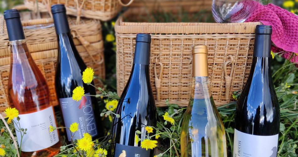 Domaine viticole Pied Faucon@chaumard