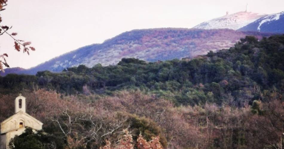 Gîte de l'Harmonie@Oui