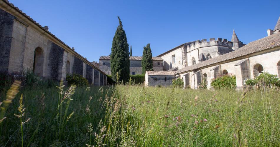 Exposition «Songs from the distorted south»@Alex Nollet La Chartreuse