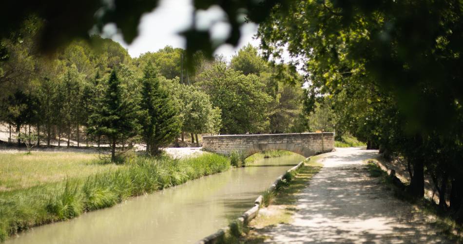 GR® 63-D'Avignon aux bords du Canal de Carpentras@@JulieVandal