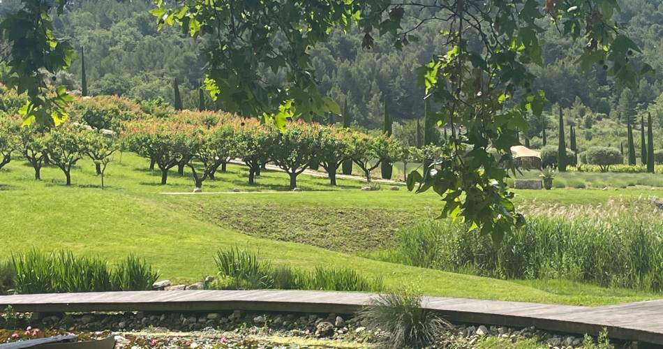 Domaine des Andéols - Le Platane@Didier Gemignani