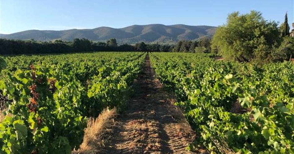 Syndicat des Vins du Luberon@Destination Luberon
