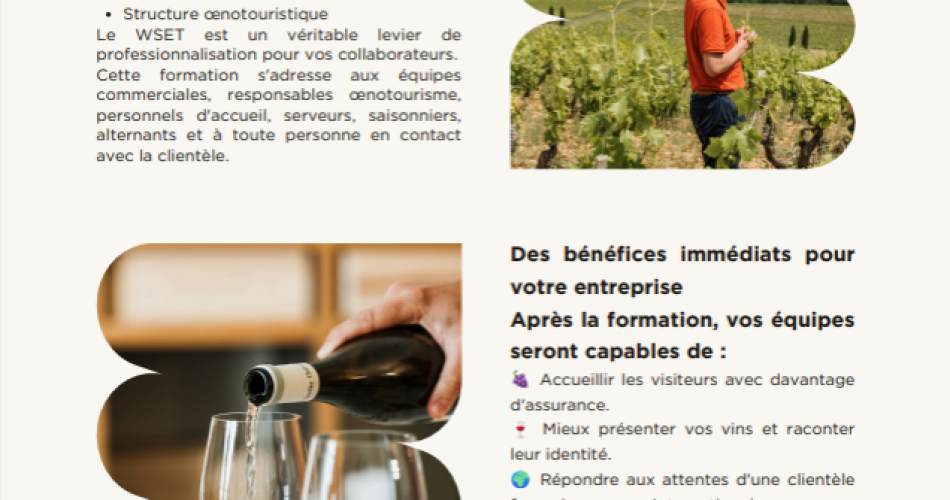 Formations du WSET 1 et 2 à Chateauneuf du Pape@© Le Nez des Papes
