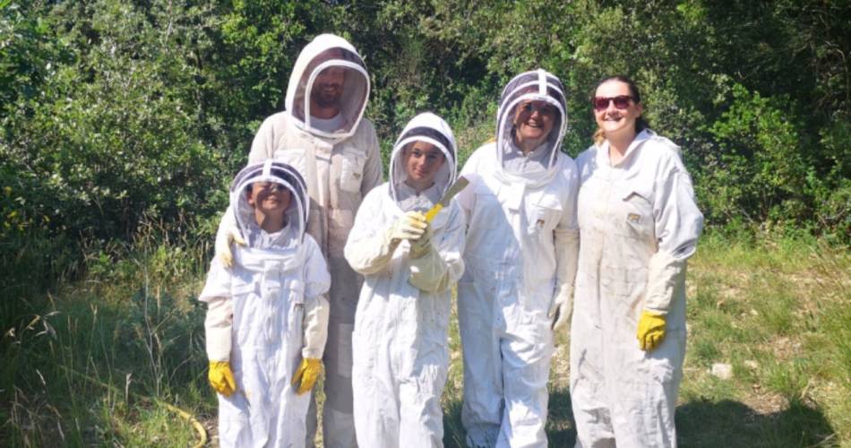 Apinae Apiculture@© Apinae